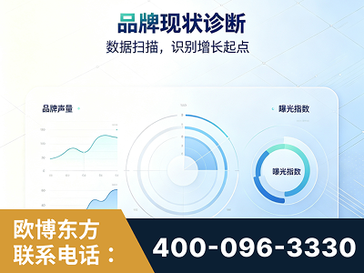 穆棱-品牌现状诊断