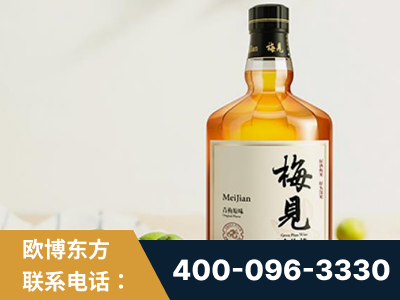 穆棱-梅见青梅酒